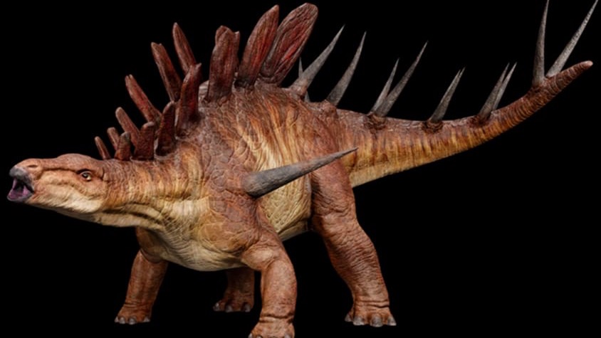 MFAHAMU DINOSARIA KENTROSAURUS (MLINZI WA TENDAGURU)